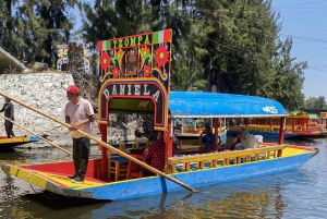 CDMX: Fiesta en Xochimilco con trajinera, bebidas, mariachis y tacos