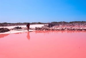 Desde Mérida: Biosfera de Celestún, paseo en barco y Día de playa