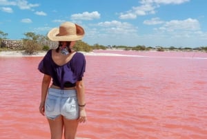 Desde Mérida: Biosfera de Celestún, paseo en barco y Día de playa