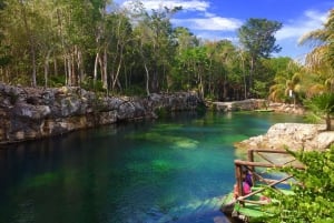 Tulum: Casa Tortuga Cenote Natural Park Guided Tour & Lunch