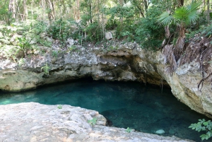 Tulum: Casa Tortuga Cenote Natural Park Guided Tour & Lunch