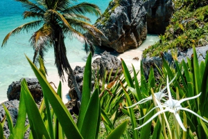 Desde Cancún: Excursión a las Ruinas de Tulum con baño en un cenote y comida