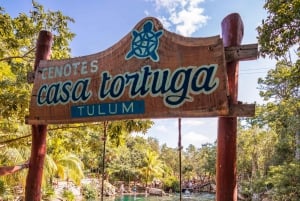 Desde Cancún: Excursión a las Ruinas de Tulum con baño en un cenote y comida