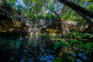 Tulum: Cenote Trail Bike Tour
