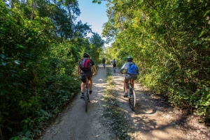 Cenote Trail: Caves Visit and Bike Tour