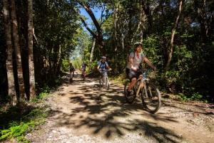 Tulum: Cenote Trail Bike Tour