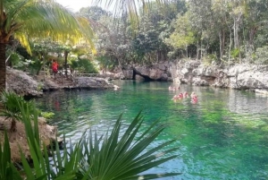 Cenotes Express