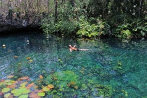 CENOTES TULUM/AKUMAL: 4 Cenotes en comunidad maya y snorkel con tortugas