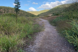 Excursión al Cerro de la Calavera