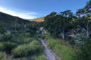 Excursión al Cerro de la Calavera