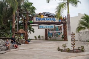 Cozumel: Chankanaab Beach Adventure Day pass and Snorkeling