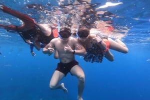 Cozumel: Chankanaab Beach Adventure Day pass and Snorkeling