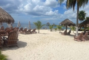 Cozumel: Chankanaab Beach Adventure Day pass and Snorkeling