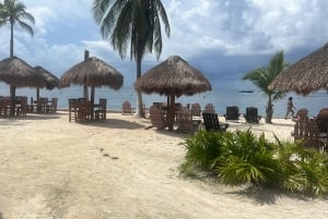 Cozumel: Chankanaab Beach Adventure Day pass and Snorkeling