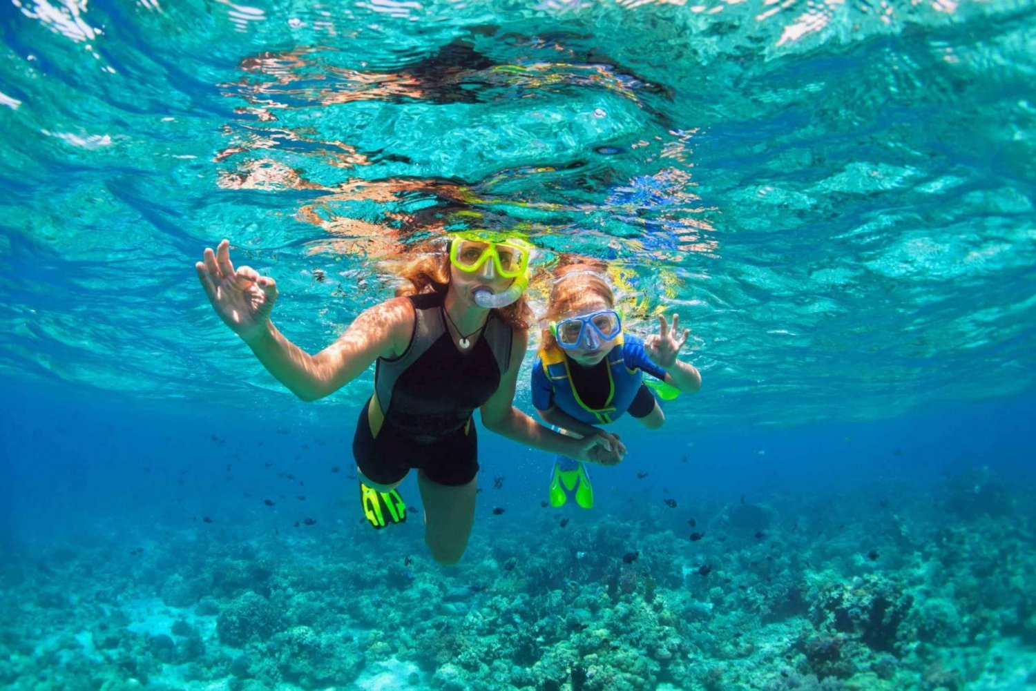 Cozumel: Chankanaab Beach Adventure Day pass and Snorkeling