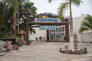 Chankanaab Park Cozumel Day pass and Snorkeling package
