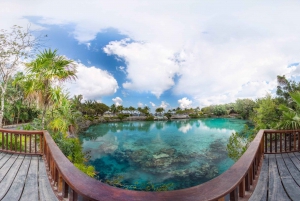 Chankanaab Park Cozumel Day Pass with Lunch and Open Bar