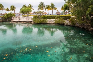 Chankanaab Park Cozumel Day Pass with Lunch and Open Bar