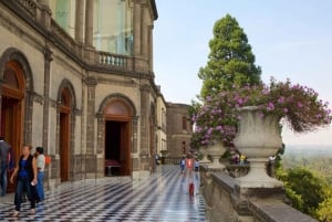 Museo de Chapultepec: Visita al Museo de Antropología Plus
