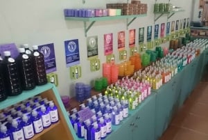 Chautla's Castle, Lavender Farm, and Valquirico Private Tour