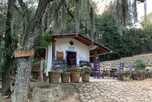 Chautla's Castle, Lavender Farm, and Valquirico Private Tour