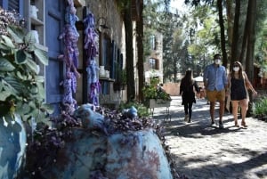 Chautla's Castle, Lavender Farm, and Valquirico Private Tour