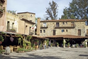 Chautla's Castle, Lavender Farm, and Valquirico Private Tour