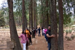 Chautla's Castle, Lavender Farm, and Valquirico Private Tour