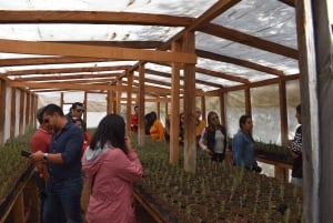 Chautla's Castle, Lavender Farm, and Valquirico Private Tour