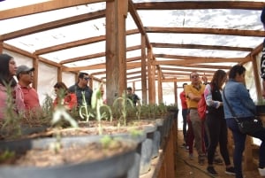 Chautla's Castle, Lavender Farm, and Valquirico Private Tour