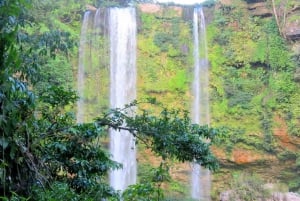 Chiapas: Tour 6 Días 5 Noches Rafting y Cabaña en la Selva