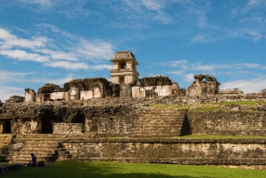 Chiapas: Tour Agua Azul, Misol-Ha y Palenque