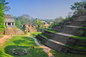 Chiapas: Tour Agua Azul, Misol-Ha y Palenque