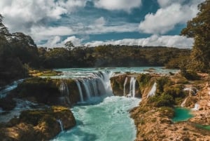 Chiapas: Tour de día completo a Las Nubes