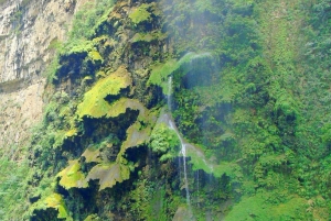 Chiapas: Tour Privado de Naturaleza y Aventura 5 Días - 4 Noches