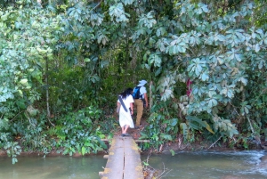 Chiapas: Tour Privado de Naturaleza y Aventura 5 Días - 4 Noches