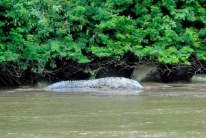 Chiapas: Tour Privado de Naturaleza y Aventura 5 Días - 4 Noches