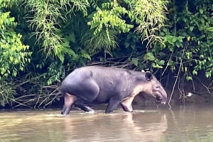 Chiapas: Tour Privado de Naturaleza y Aventura 5 Días - 4 Noches