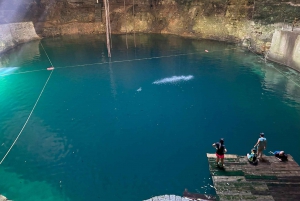 Excursión a las Ruinas de Chichén Itzá y Ek Balam + Cenote con Comida