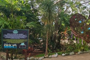 Chichén Itzá Deluxe - Cenote Ik kil y Hubiku