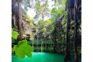 Chichen Itza + Ek Balam PRIVATE TOUR (lunch + cenote Oxman)