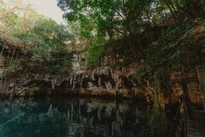 Chichén Itzá: Tour privado con comida buffet y baño en cenote