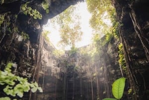 Chichen Itza with Lunch & Transfer from Playa del Carmen, Tulum and Cancun