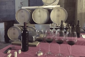 Chihuahua: Premium Wine Tasting Experience