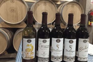 Chihuahua: Premium Wine Tasting Experience