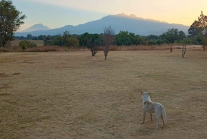 Cholula, Atlixco And The Catrinas´ Valley From CDMX