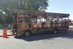 Cholula Magical Town 6-Hour Tour by Double-Decker Bus