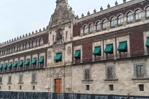 Chronicles of the Center: Living Stories of Mexico City