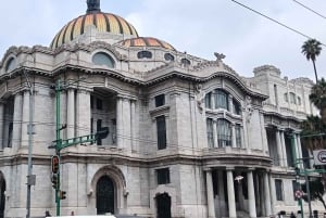 Chronicles of the Center: Living Stories of Mexico City