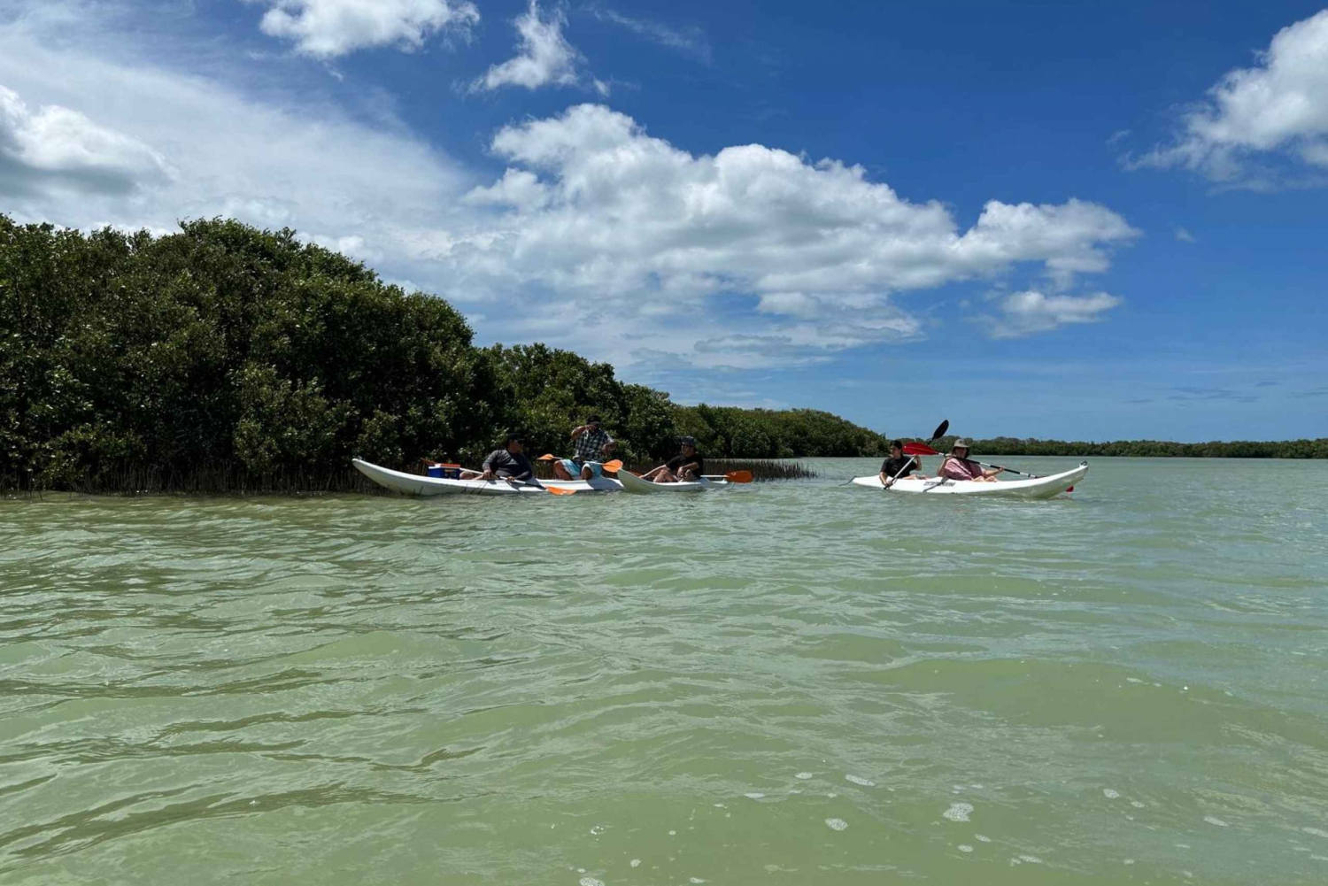 Chuburna ISLA COLUMPIOS Private Tour!